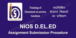 nios deled assignment submission